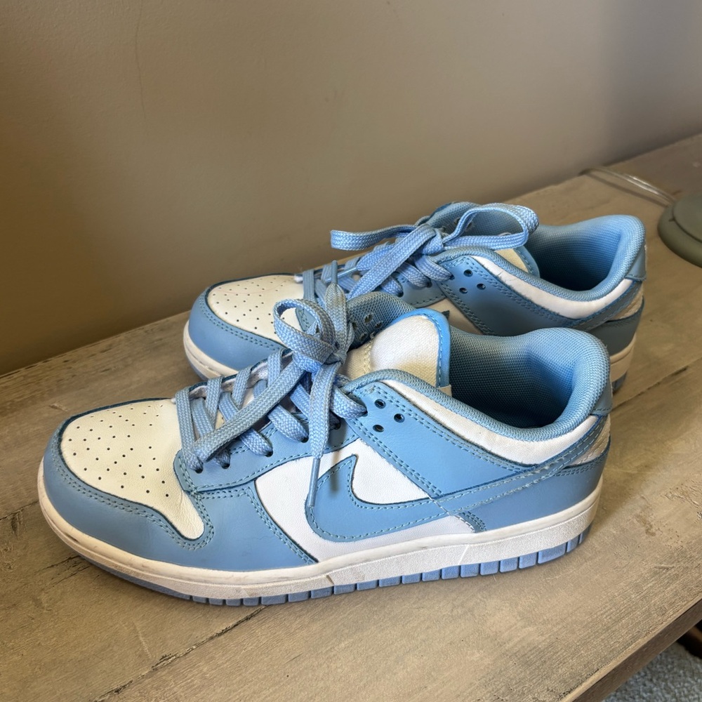 Used Nike Dunk Low Top Sneaker Mens Size 7 Blue Casual Lace Up DD1391-102